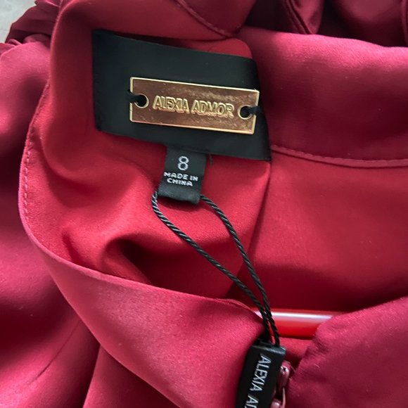 Alexa Admor Crandberry high neck silk dress!  New with tags! - Picture 6 of 6